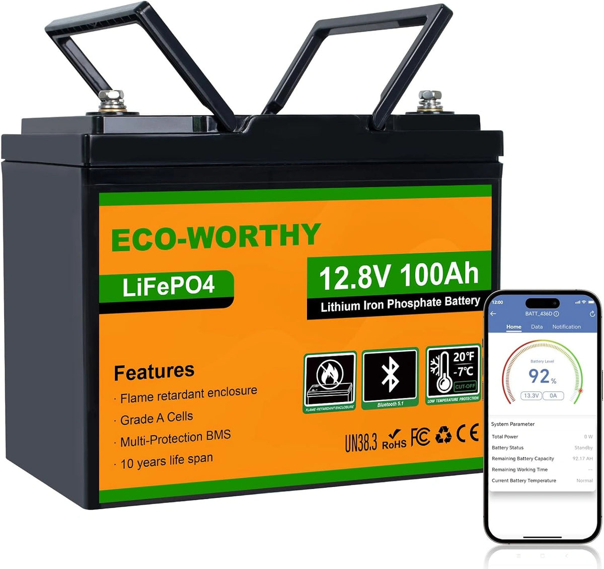 Akumulator ECO-WORTHY, 100 Ah, 1280 Wh, 12 V, kolor pomarańczowy i szary